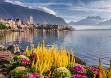 Jezioro Genewskie & Mont Blanc