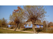 Kujawy i Mazowsze